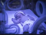 Newborn in incubator
